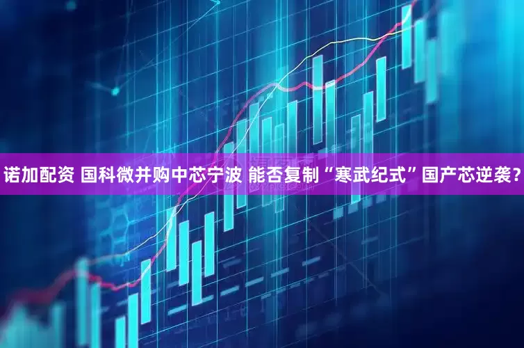 诺加配资 国科微并购中芯宁波 能否复制“寒武纪式”国产芯逆袭？
