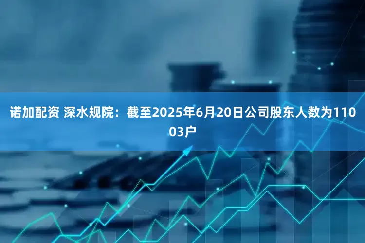 诺加配资 深水规院：截至2025年6月20日公司股东人数为11003户